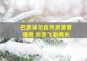 巴彦淖尔自然资源管理局 刘灵飞副局长